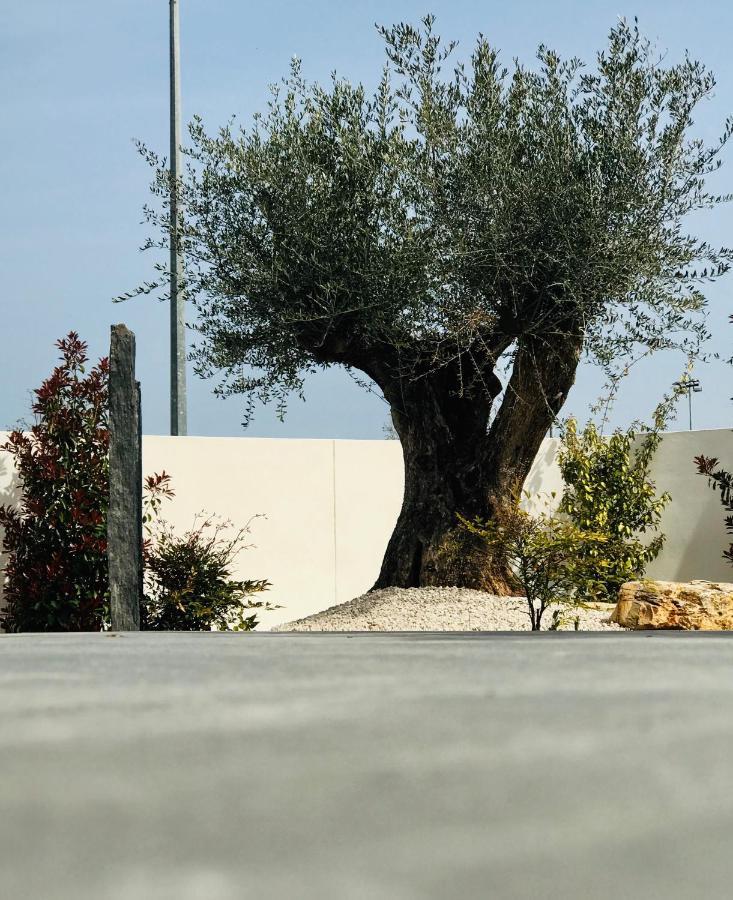 Bed and Breakfast L'Oasis Vendargues Exterior foto